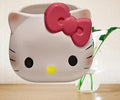 Sanrio Hello Kity Pen or make up Holder Organizer